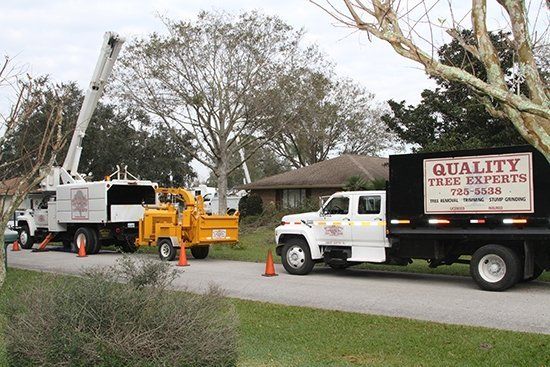 Man Lift Truck and Wood Chipper Truck | Malabar, FL | Quality Tree Experts Inc.