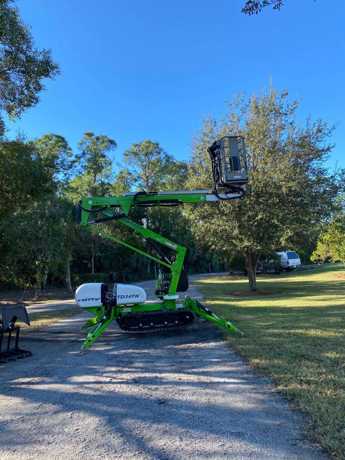 Green Tree Removal | Malabar, FL | Quality Tree Experts Inc.