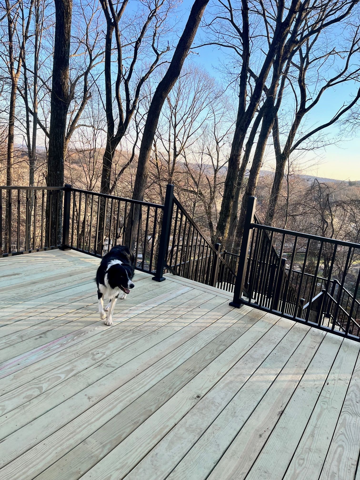 View at the Deck of the House. | Dover, NJ | Alfredo’s Construction LLC