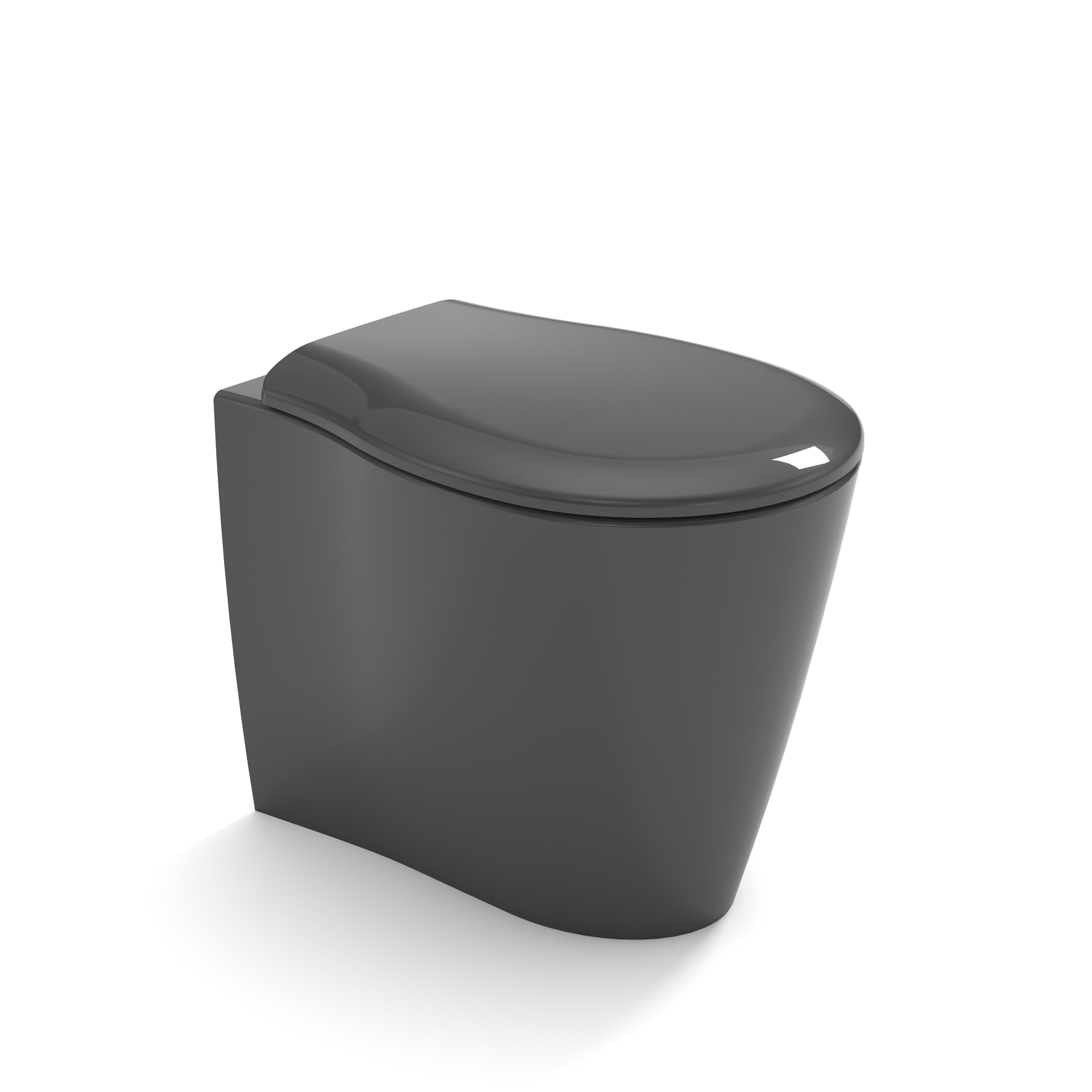 WC grigio scuro con coperchio chiuso, su sfondo bianco.