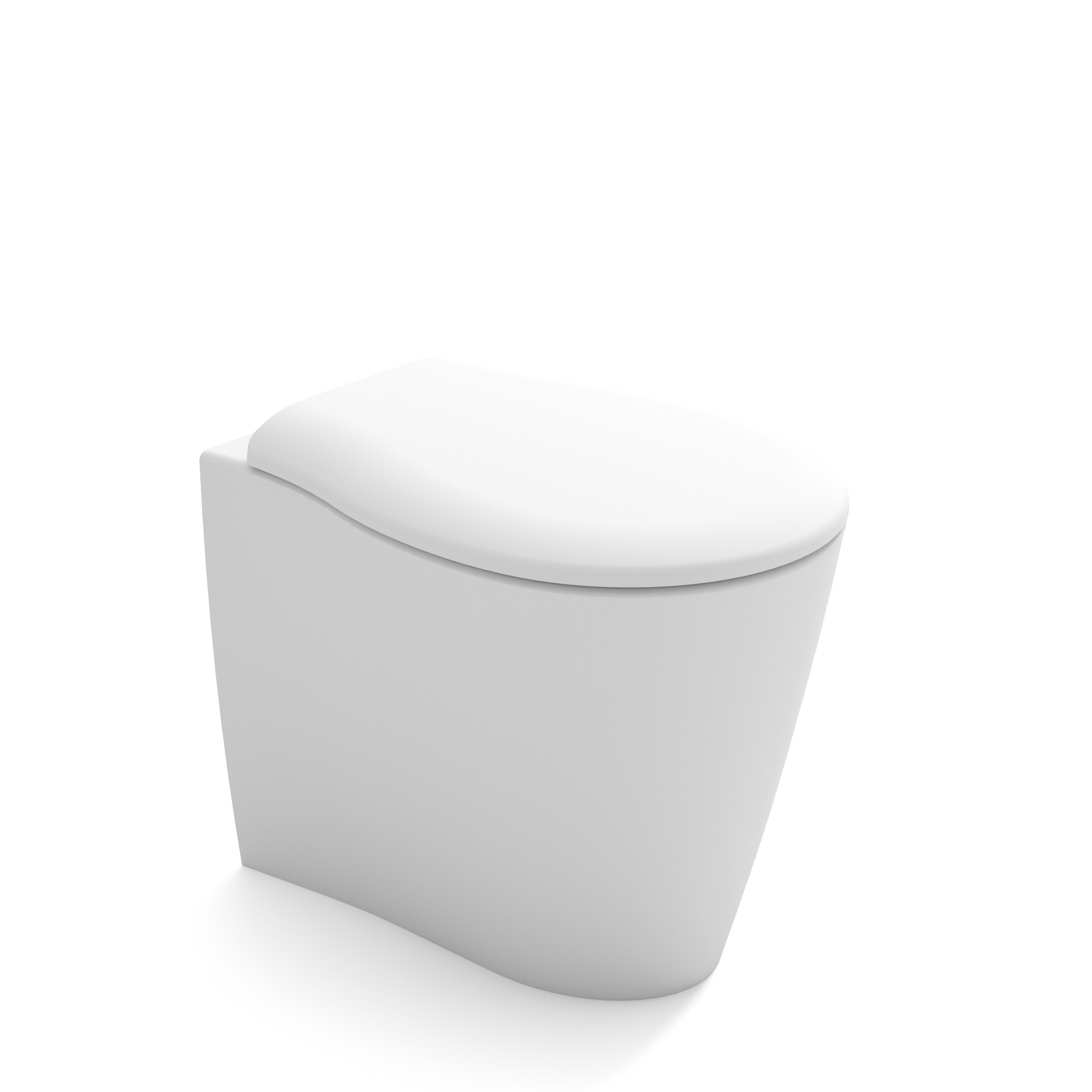WC o bidet moderni di colore bianco su uno sfondo bianco uniforme.