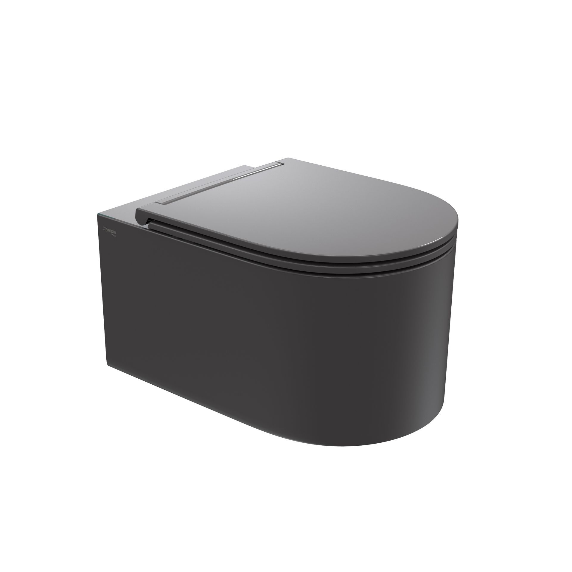 WC moderno di colore grigio scuro con coperchio arrotondato su sfondo bianco.