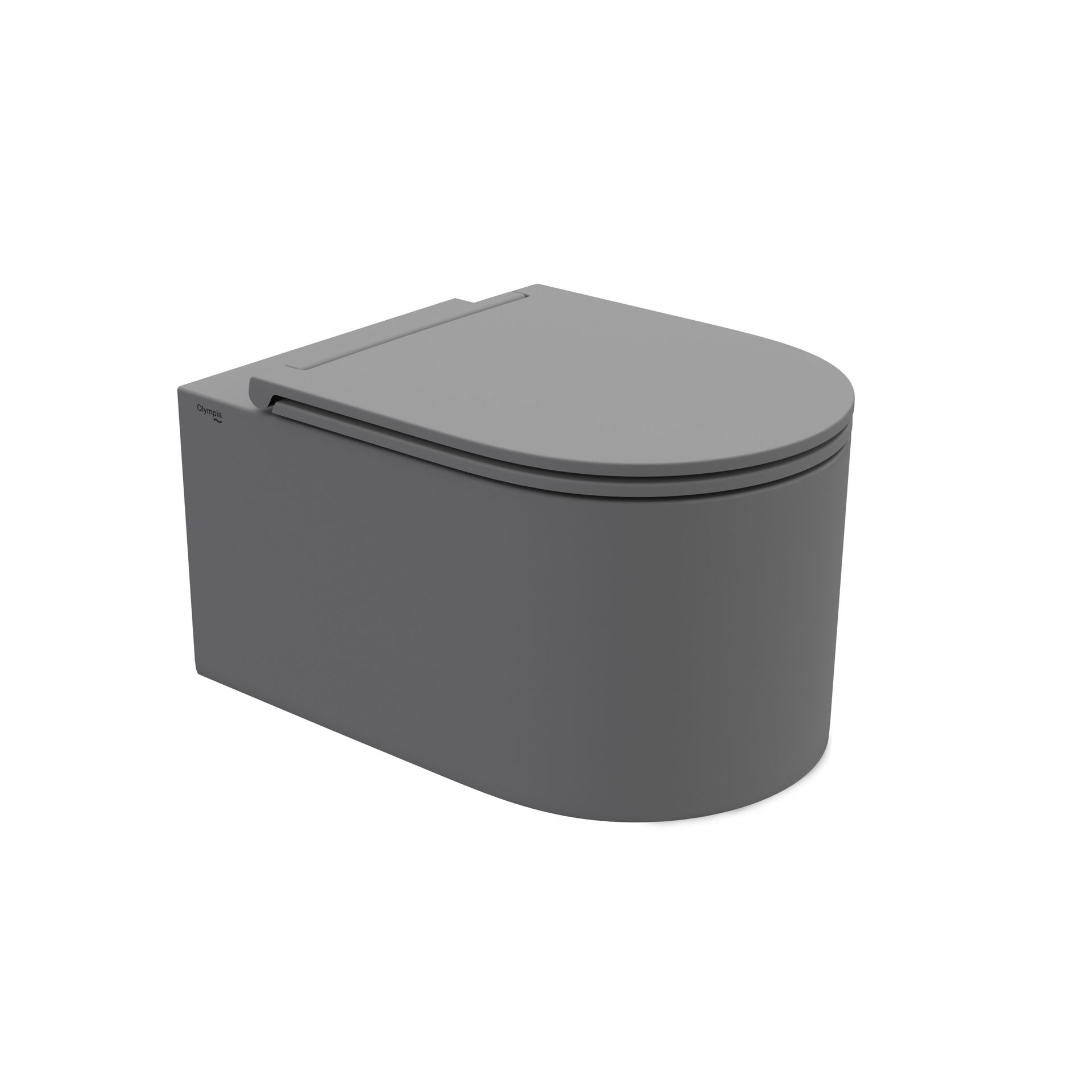 WC grigio arrotondato con coperchio incernierato.