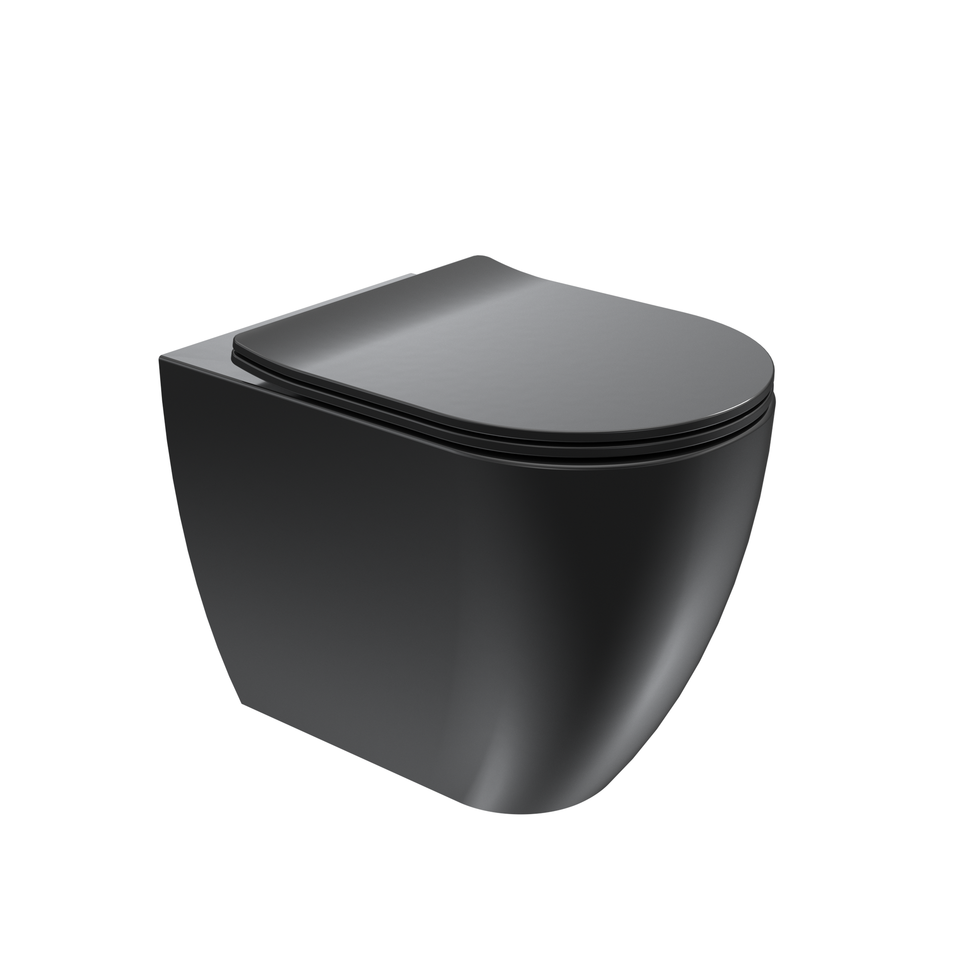 WC moderno nero su sfondo bianco