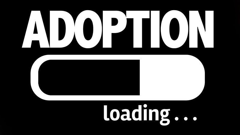 loading bar with the word adoption above it
