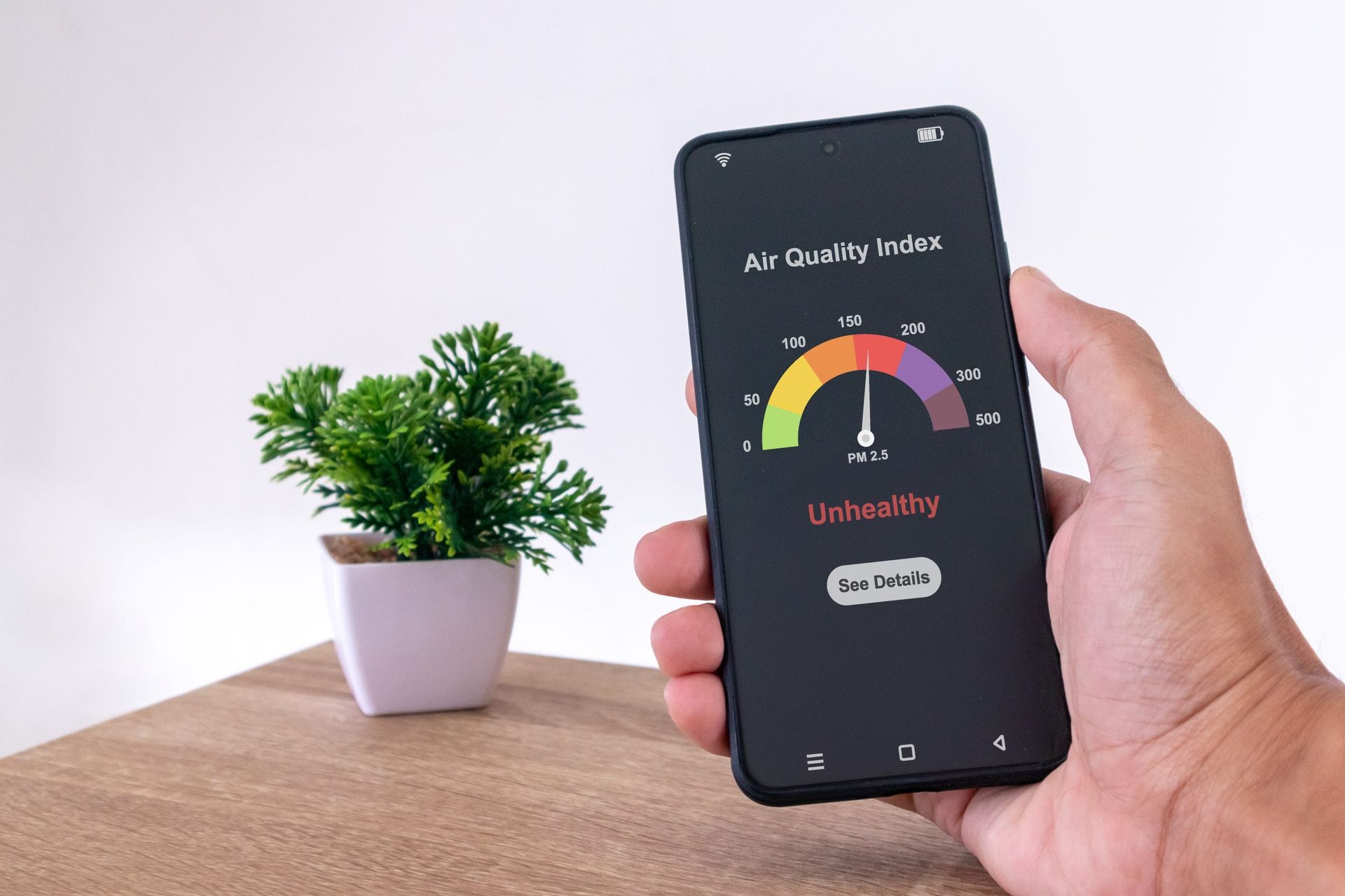 A person is holding a cell phone in their hand in front of a potted plant.