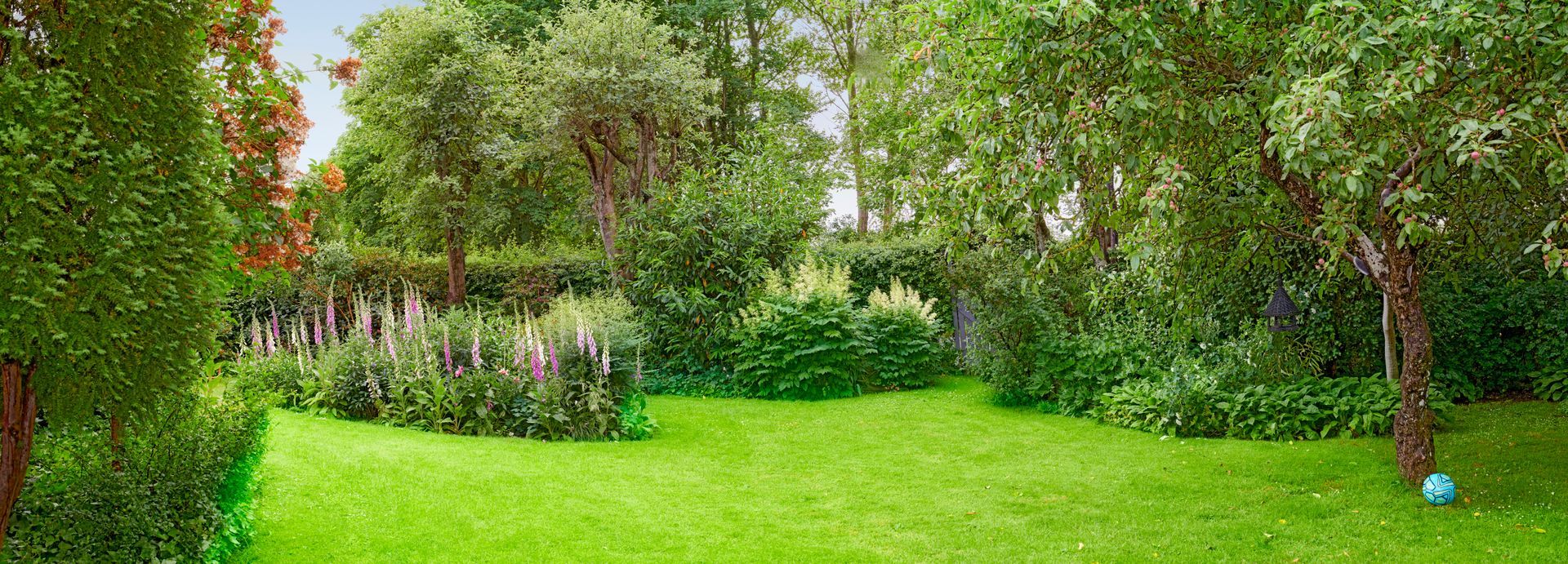 A lush green backyard with a neatly trimmed lawn, surrounded by trees and bushes
