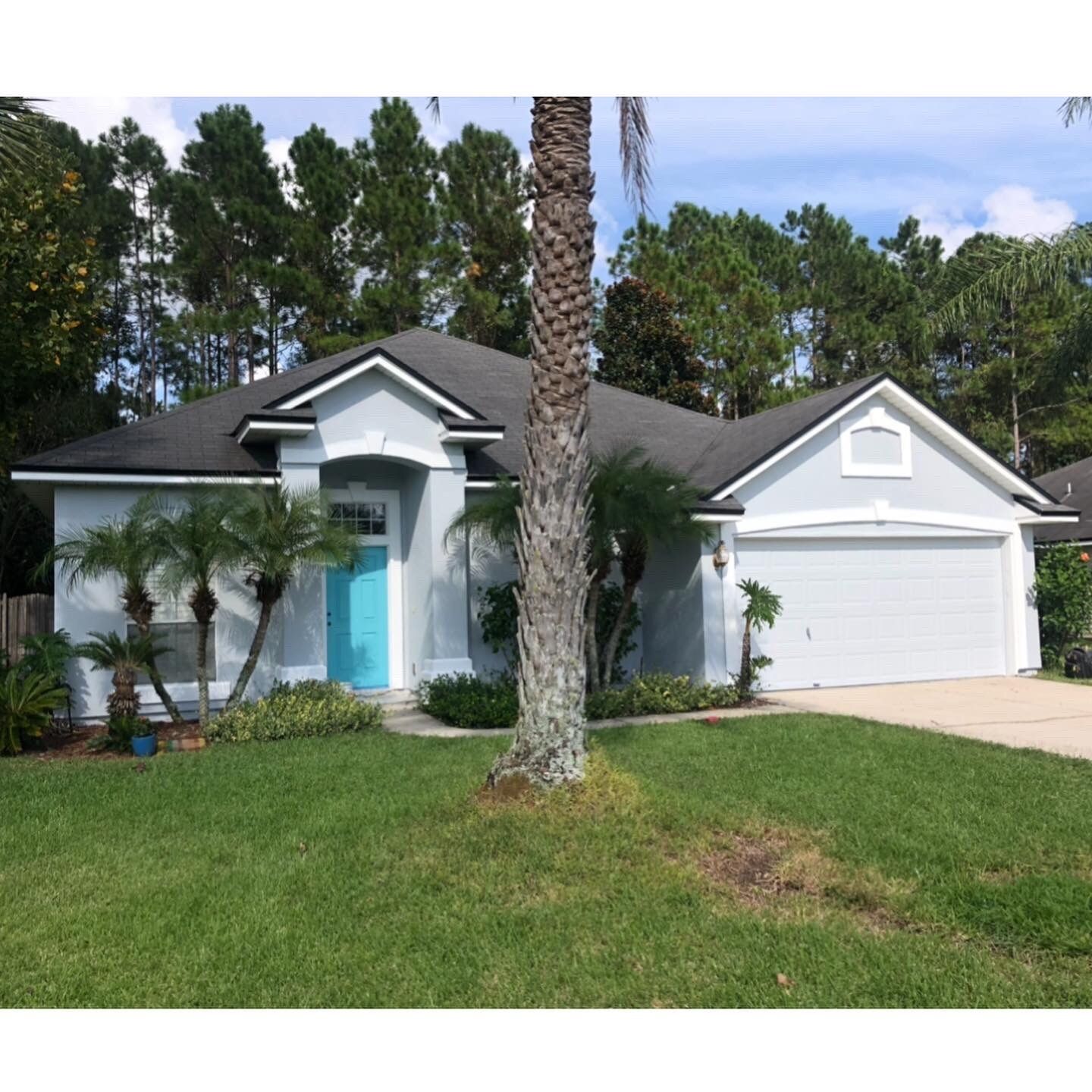 A white house with a blue door and a palm tree in front of it
