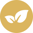 A white leaf in a gold circle on a white background.