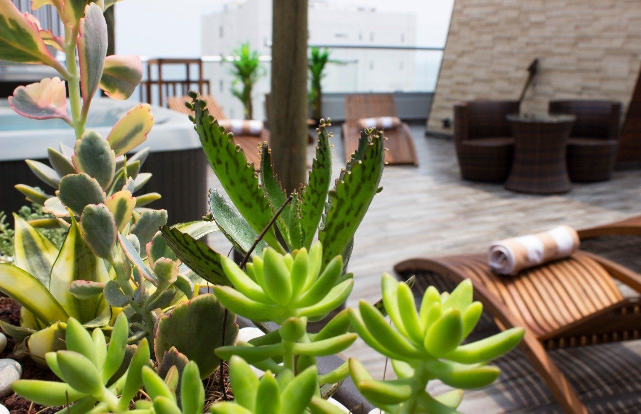 A patio with plants and chairs and a hot tub in the background