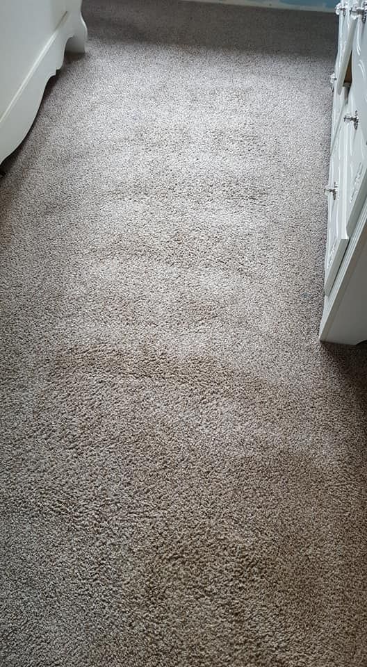 Beige carpeted hallway between white furniture.