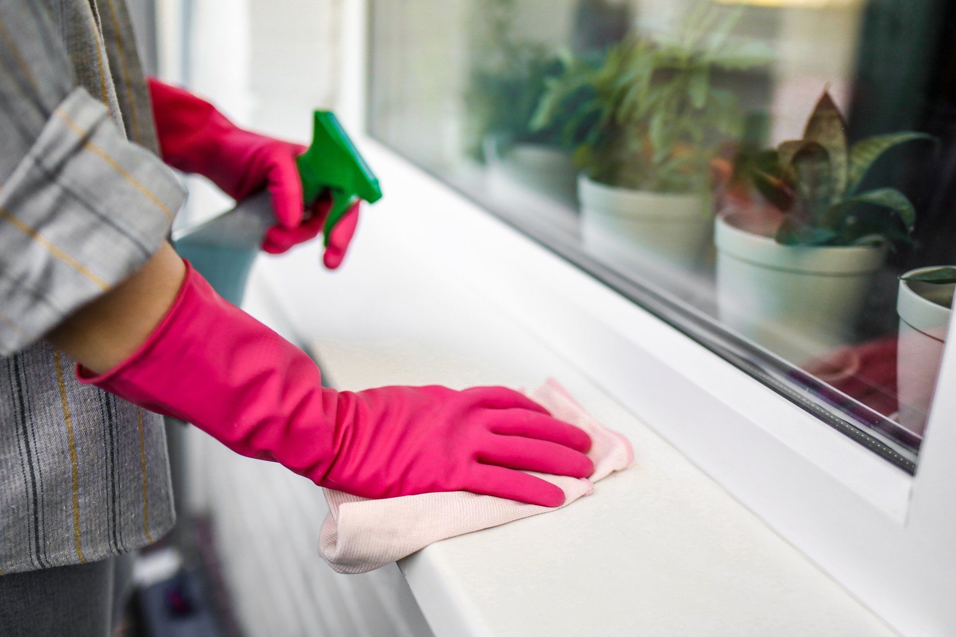 Windows & sills Cleaning