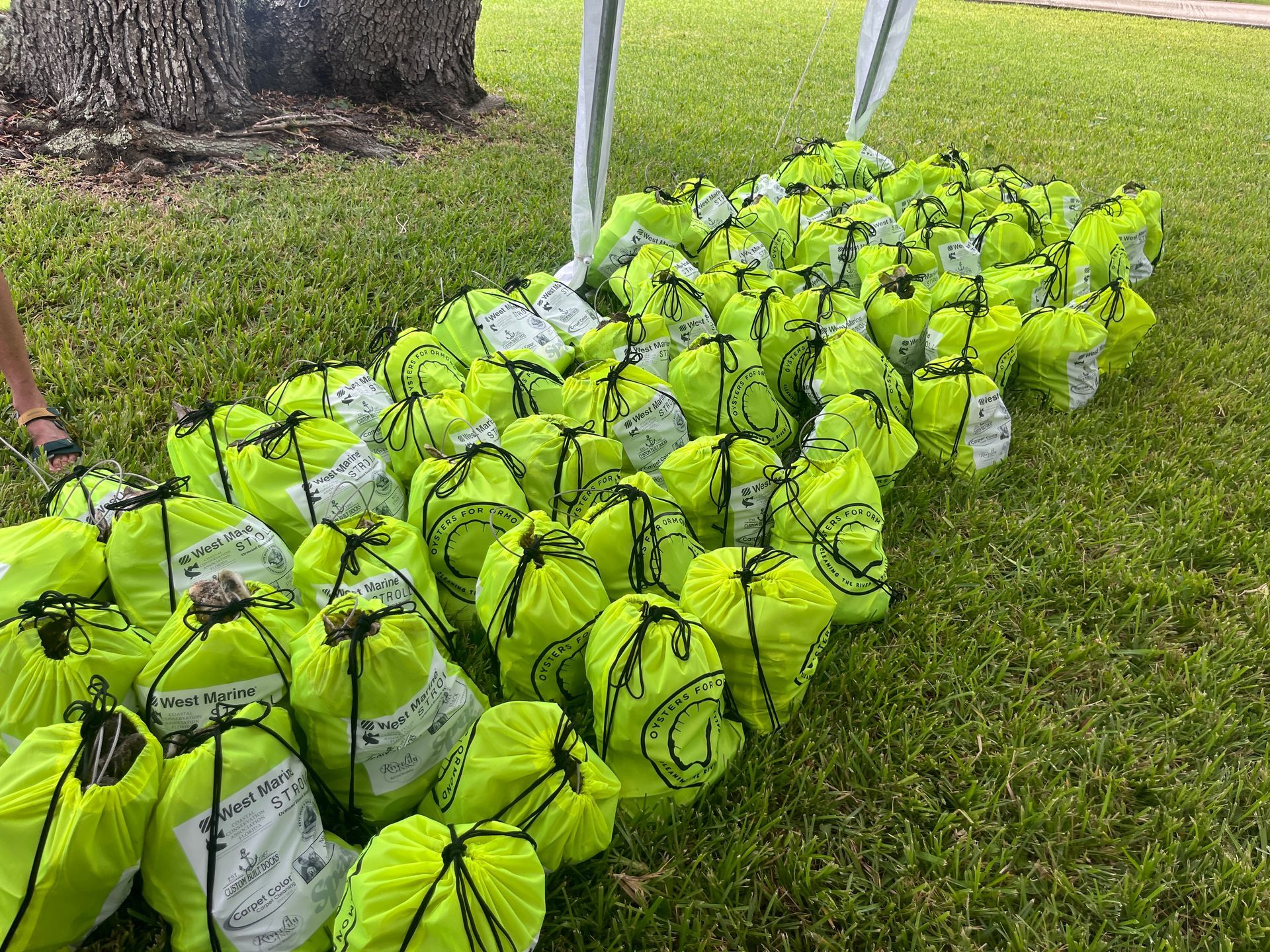 A bunch of yellow bags are sitting on the grass.
