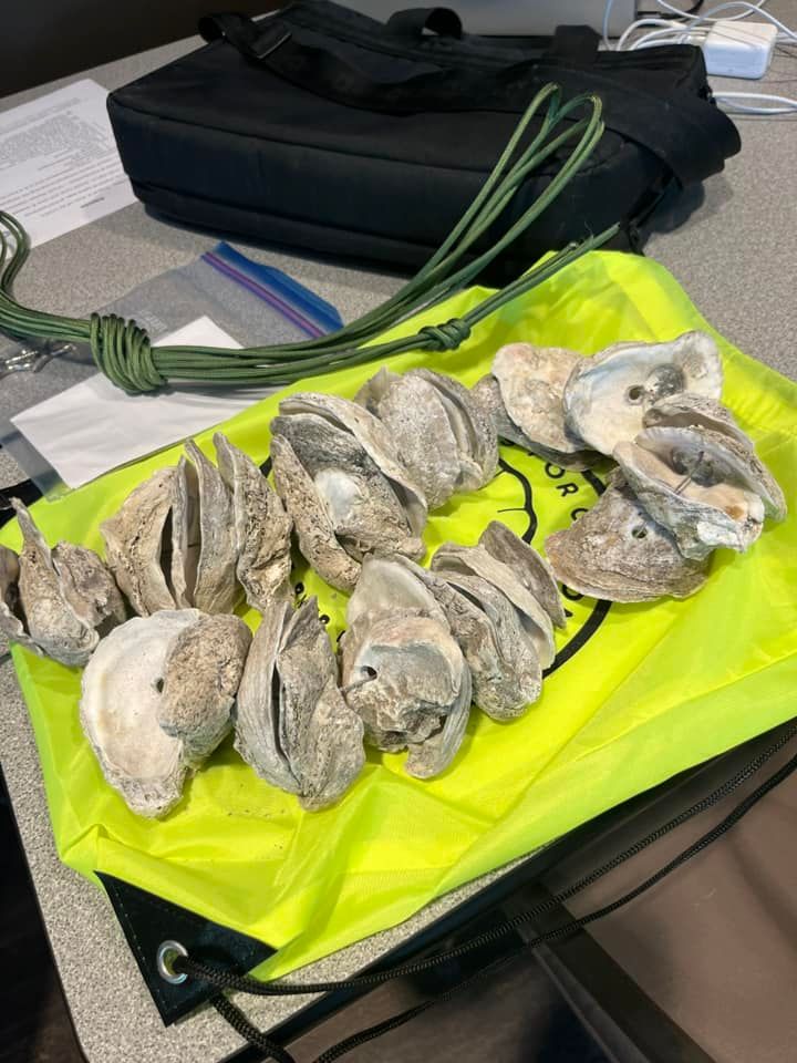 A bunch of oyster shells are sitting on top of a yellow bag on a table.