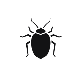 a black and white silhouette of a bed bug on a white background