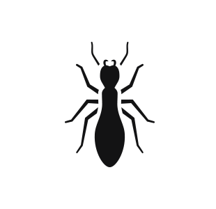 a black and white silhouette of a termite on a white background