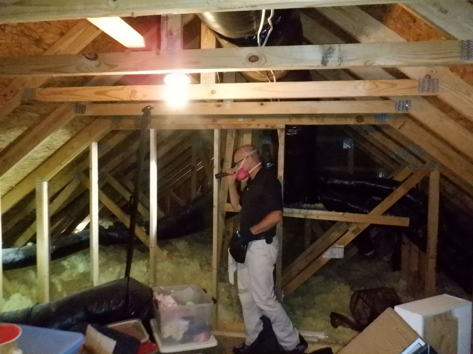 Inspector Gregory Svarverud in crawl space