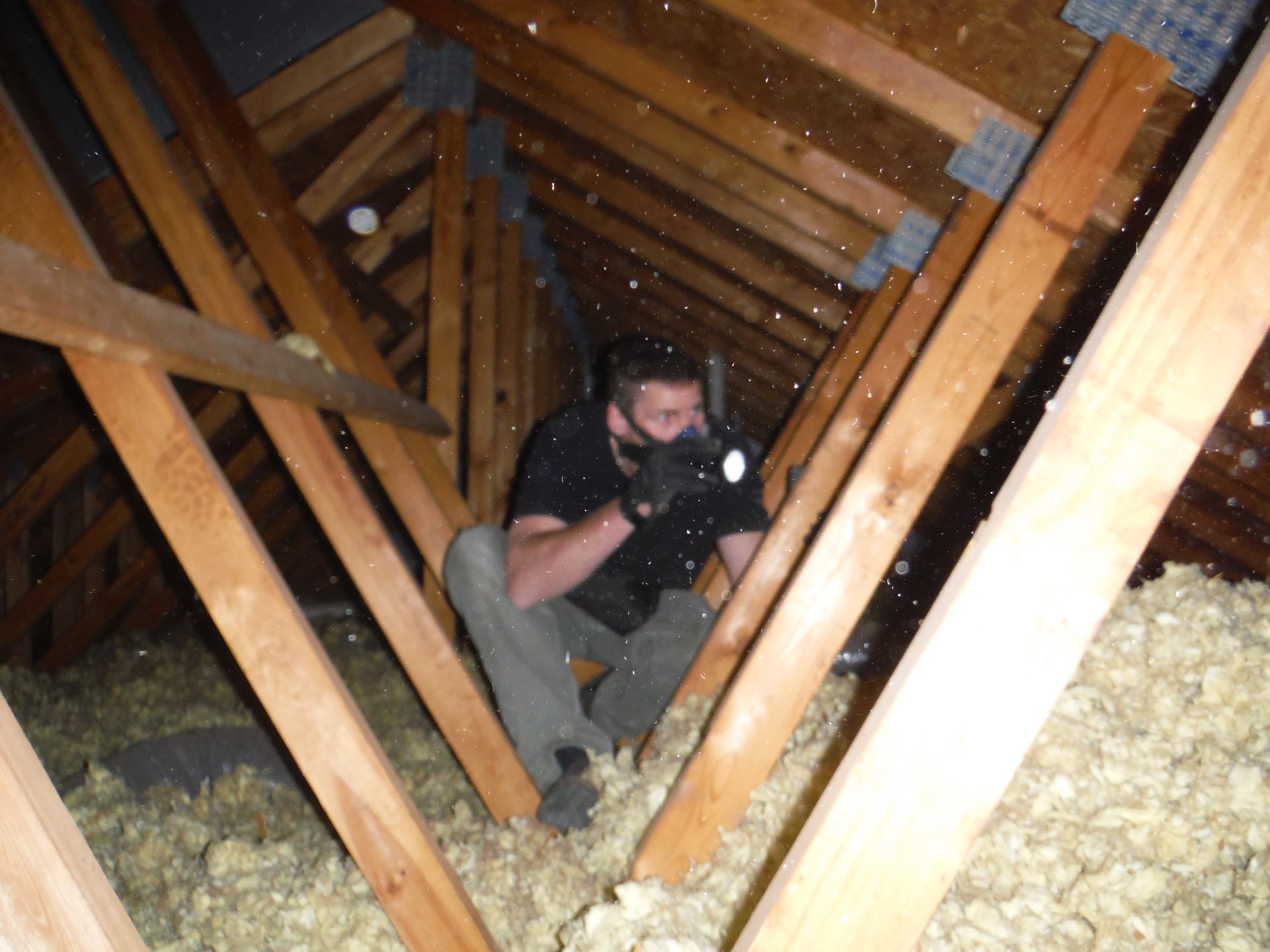 Inspector Dennis Pelczynski inside attic