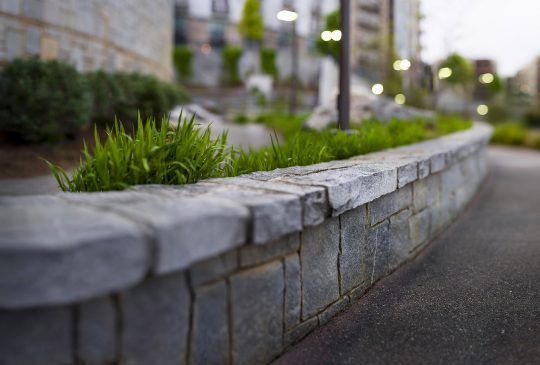 A Brick Wall With Plants Growing On It In A Park. — Pigot's Midwestern Mini Mix In Orange, NSW