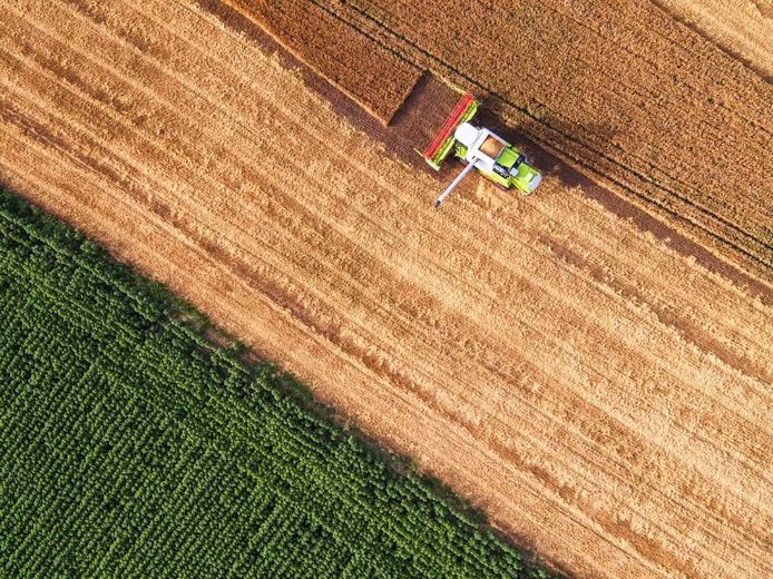 An aerial view of a combine harvester working in a wheat field.