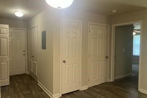 A hallway with a lot of doors and closets in a house.