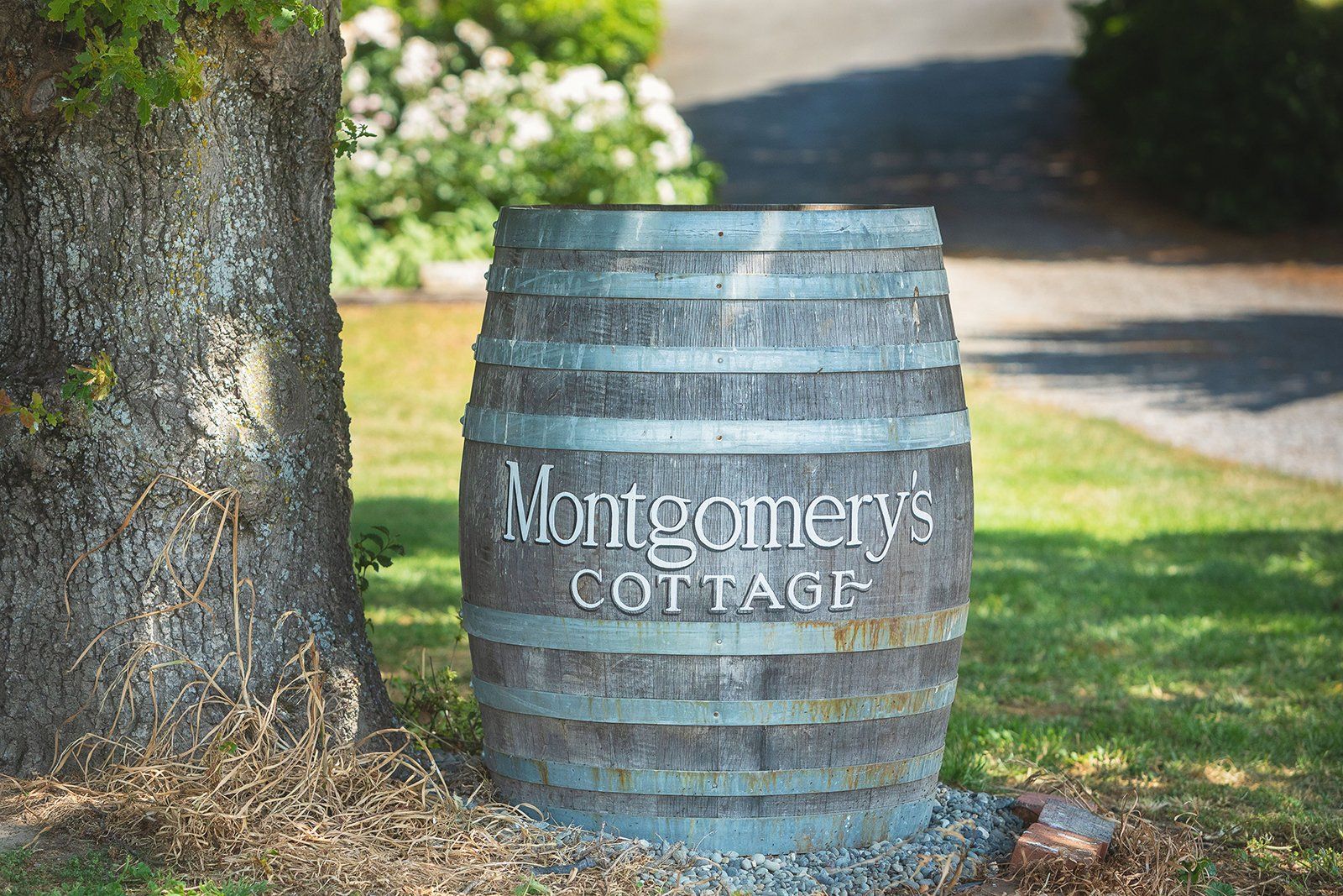 Montgomery's Vineyard Homestay Accommodation in Blenheim, Marlborough, New Zealand