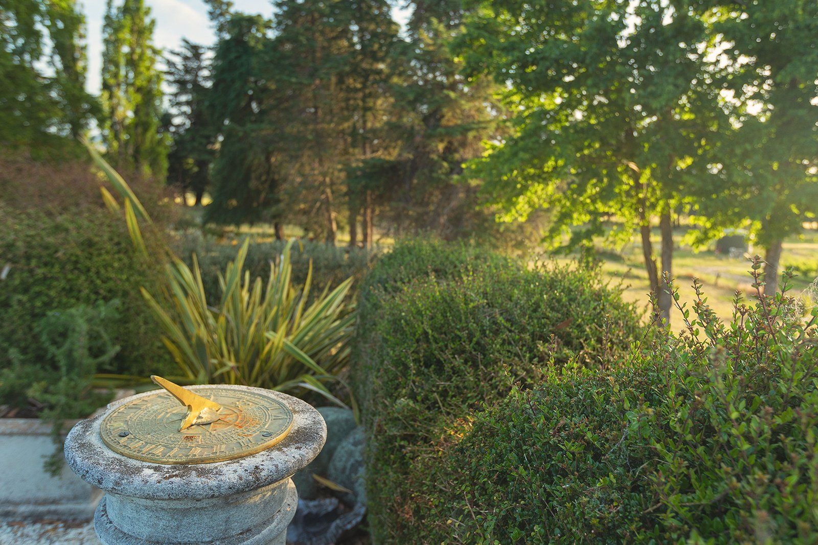 Montgomery's Vineyard Homestay Accommodation in Blenheim, Marlborough, New Zealand