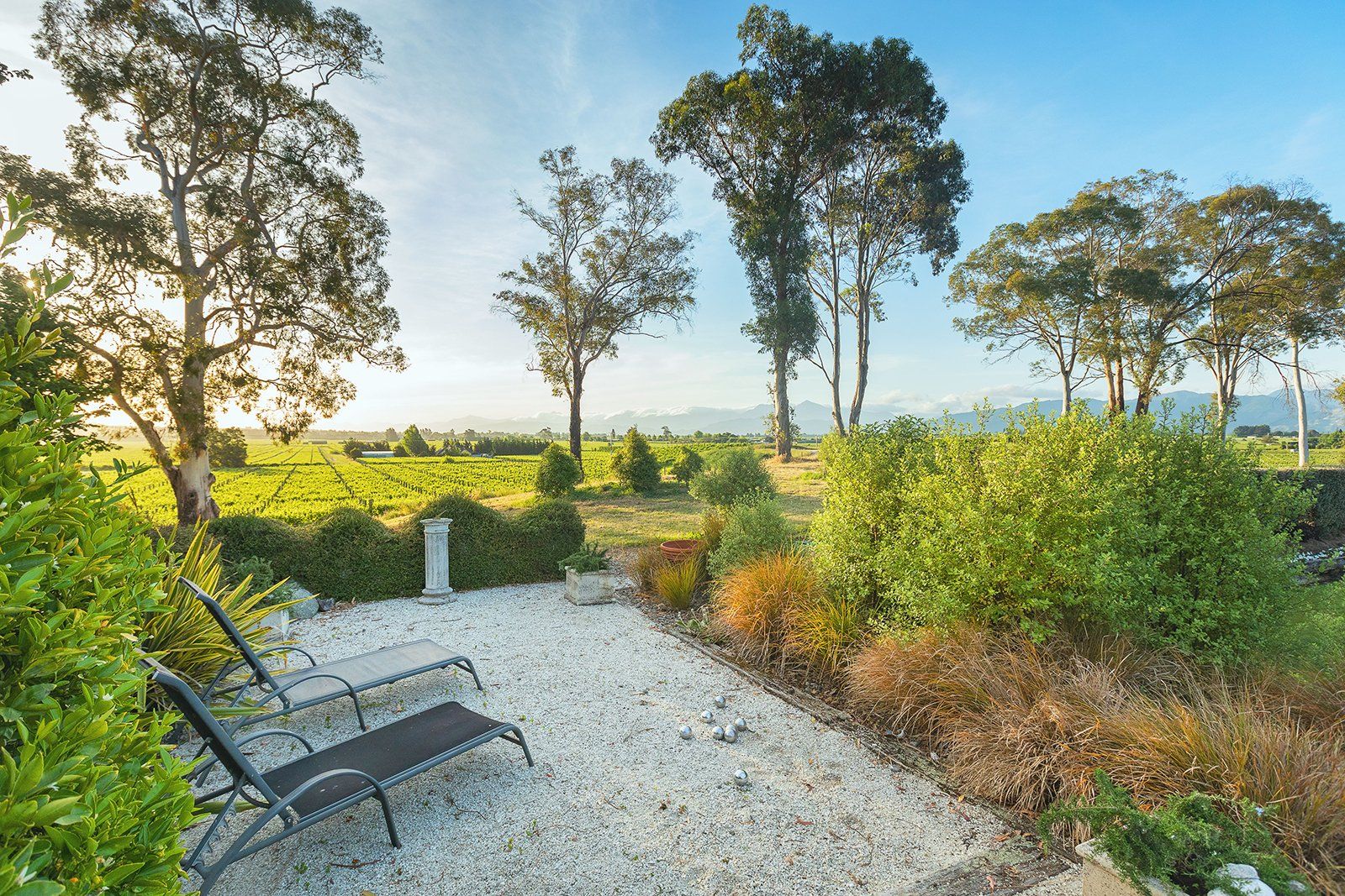 Montgomery's Vineyard Homestay Accommodation in Blenheim, Marlborough, New Zealand