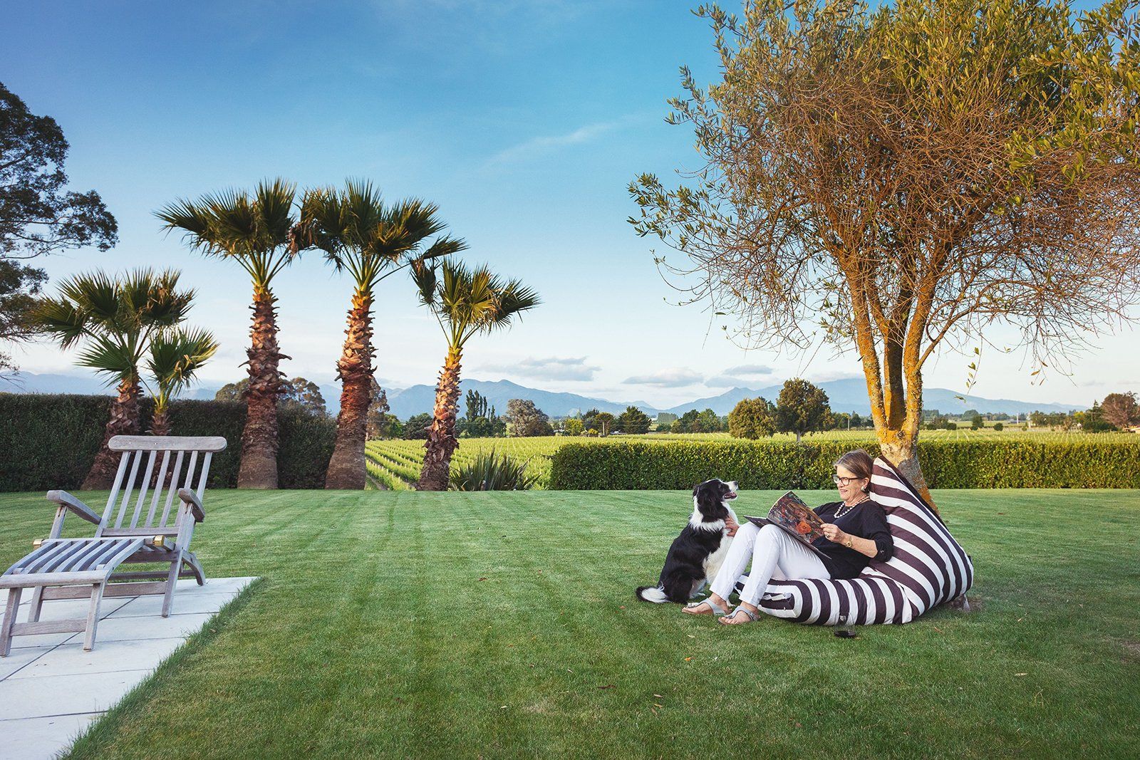 Montgomery's Vineyard Homestay Accommodation in Blenheim, Marlborough, New Zealand