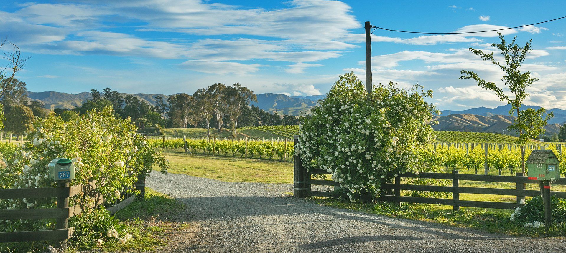 Montgomery's Vineyard Homestay Accommodation in Blenheim, Marlborough, New Zealand