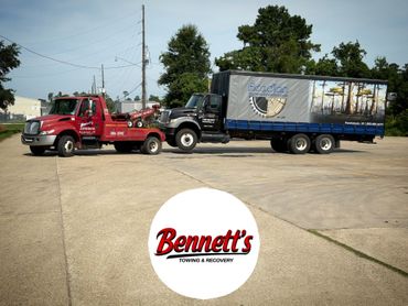 Cars parked along a gravel road, trees and foliage in the background.