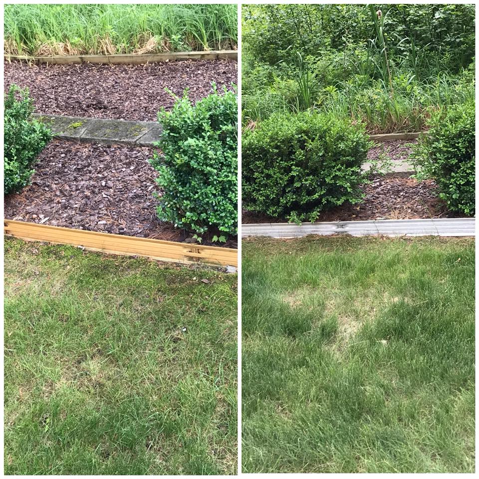 exterior cleaning service