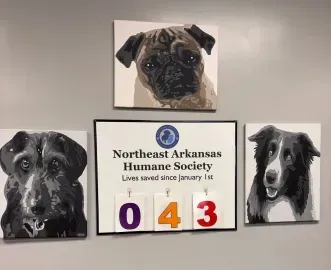 Northeast Arkansas Humane Society sign with three pug portraits and 043 in purple, orange, and red