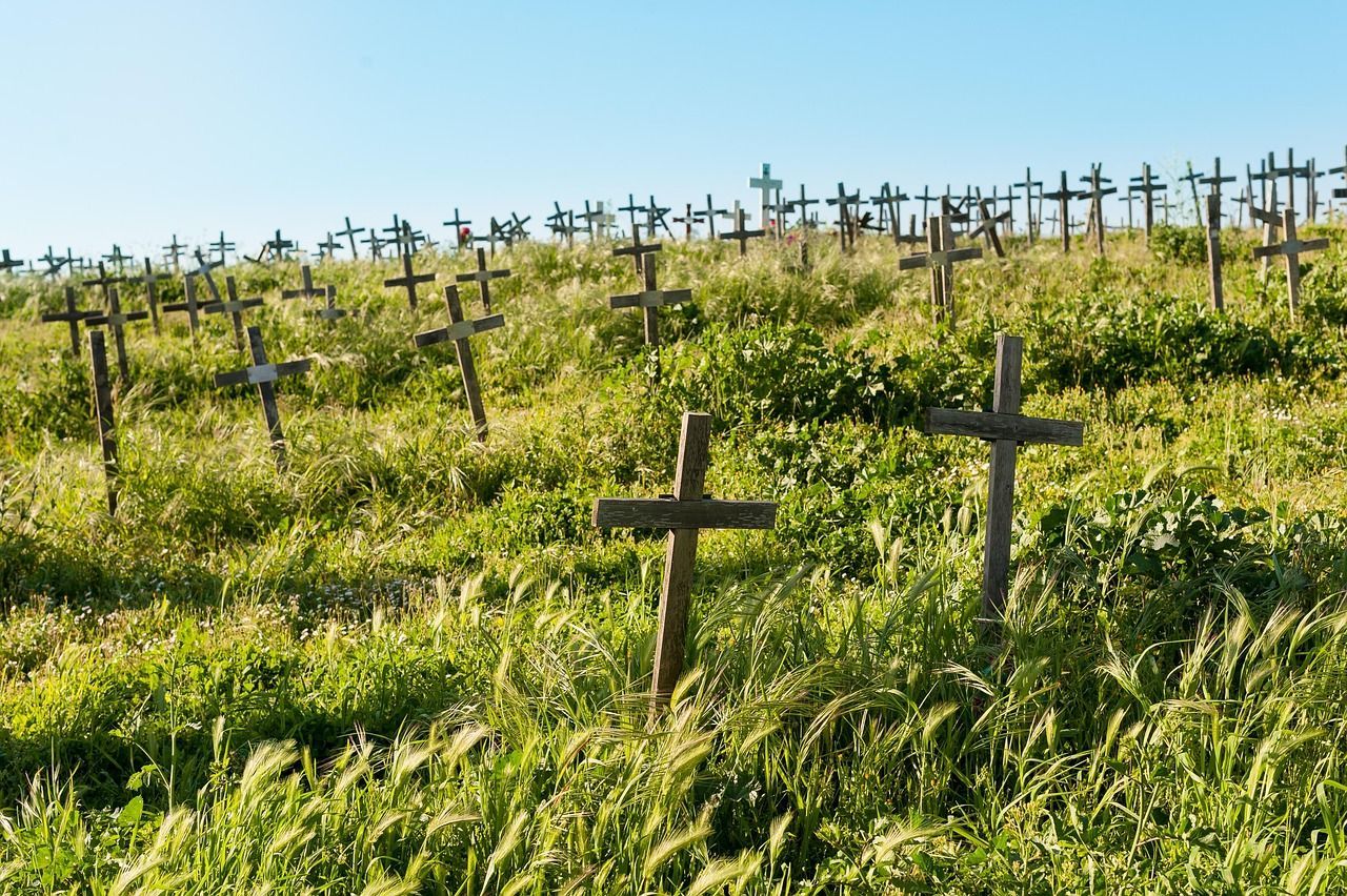 A field with a lot of cemetery crosses
