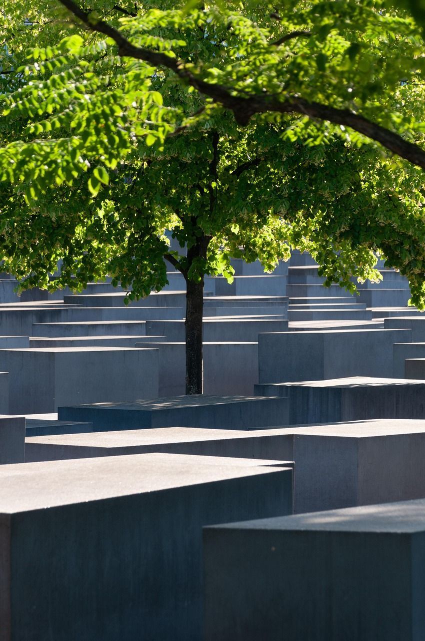 A memorial tree in between a cemetery