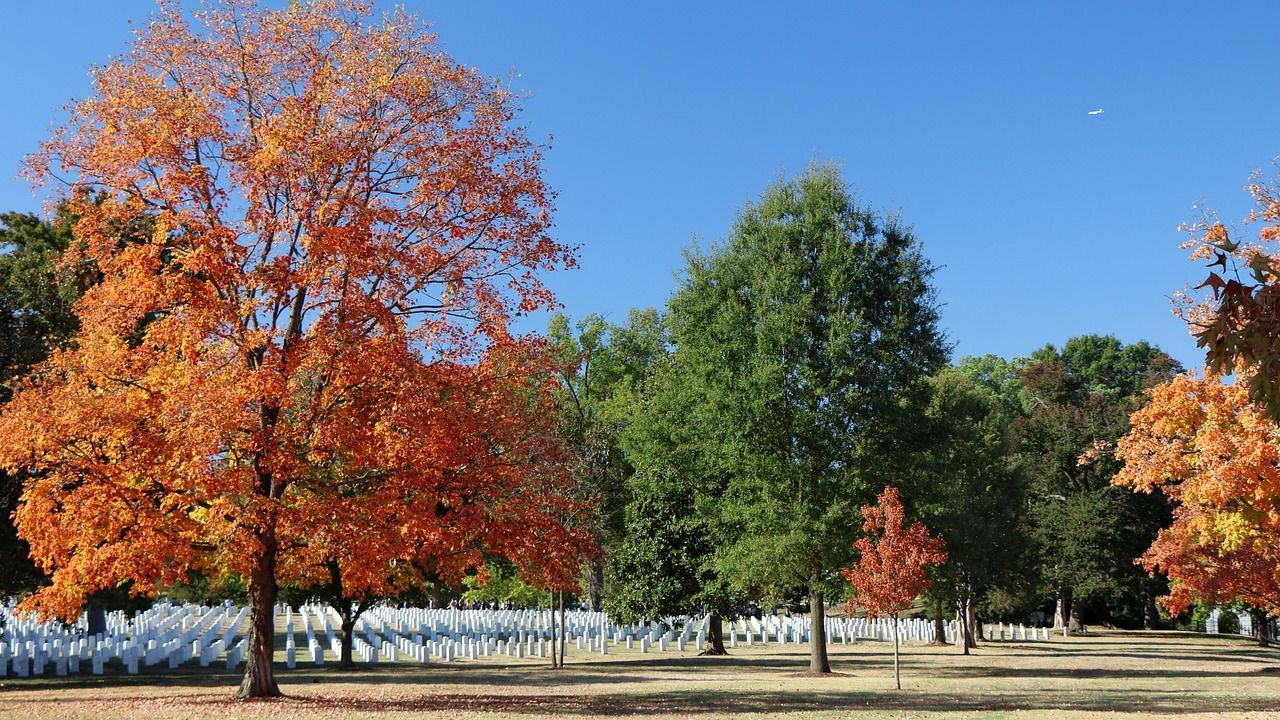 Photo of a cemetery during fall with orange toned trees around