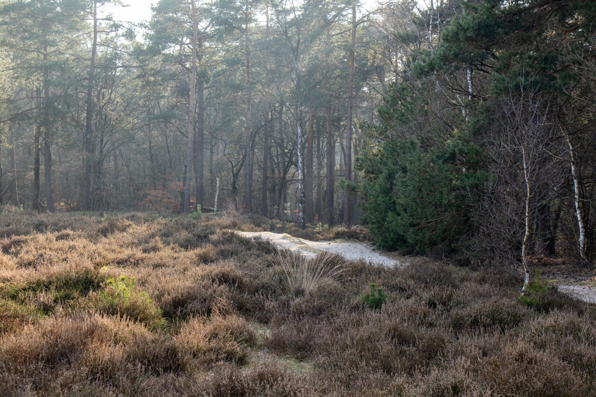 vakantieverhuur fotografie shoot-label en beeldbank