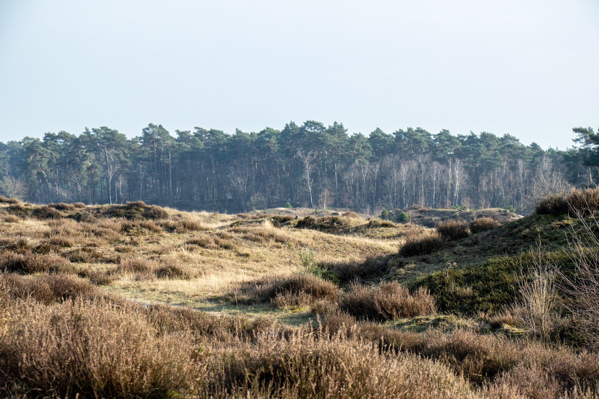 vakantieverhuur fotografie shoot-label en beeldbank