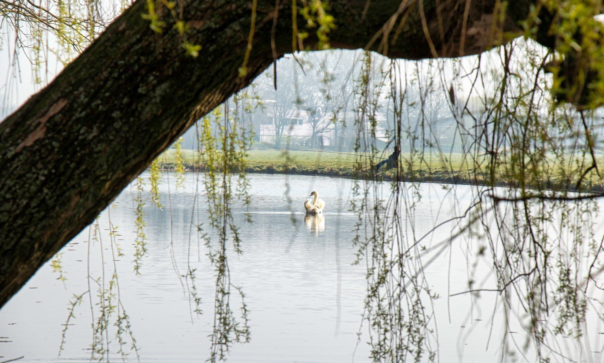 vakantieverhuur fotografie shoot-label en beeldbank