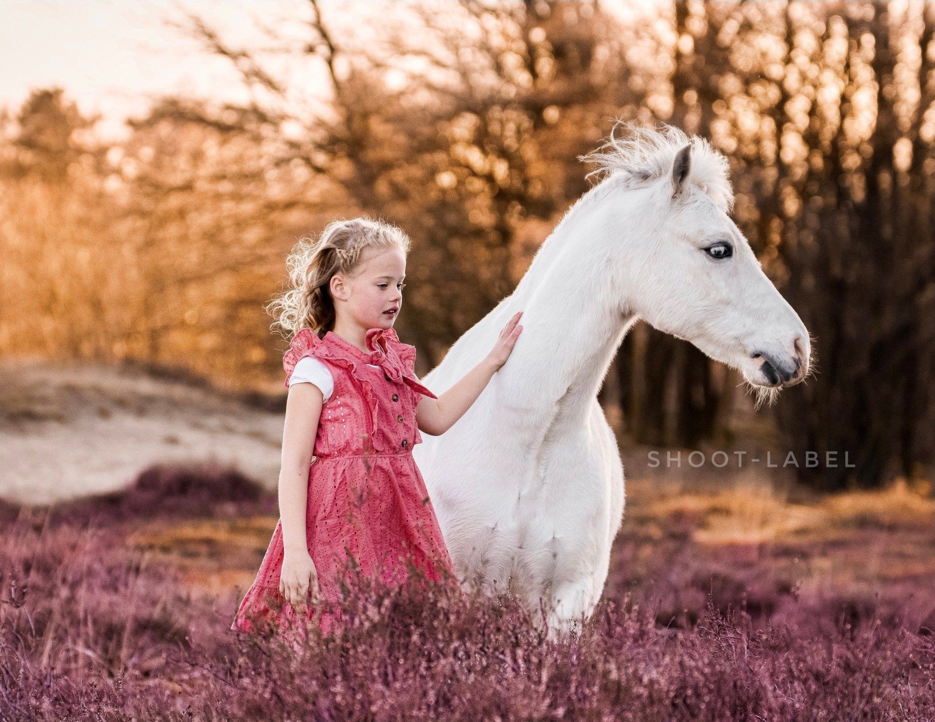 Een klein meisje in een rode jurk aait een wit paard in een veld.