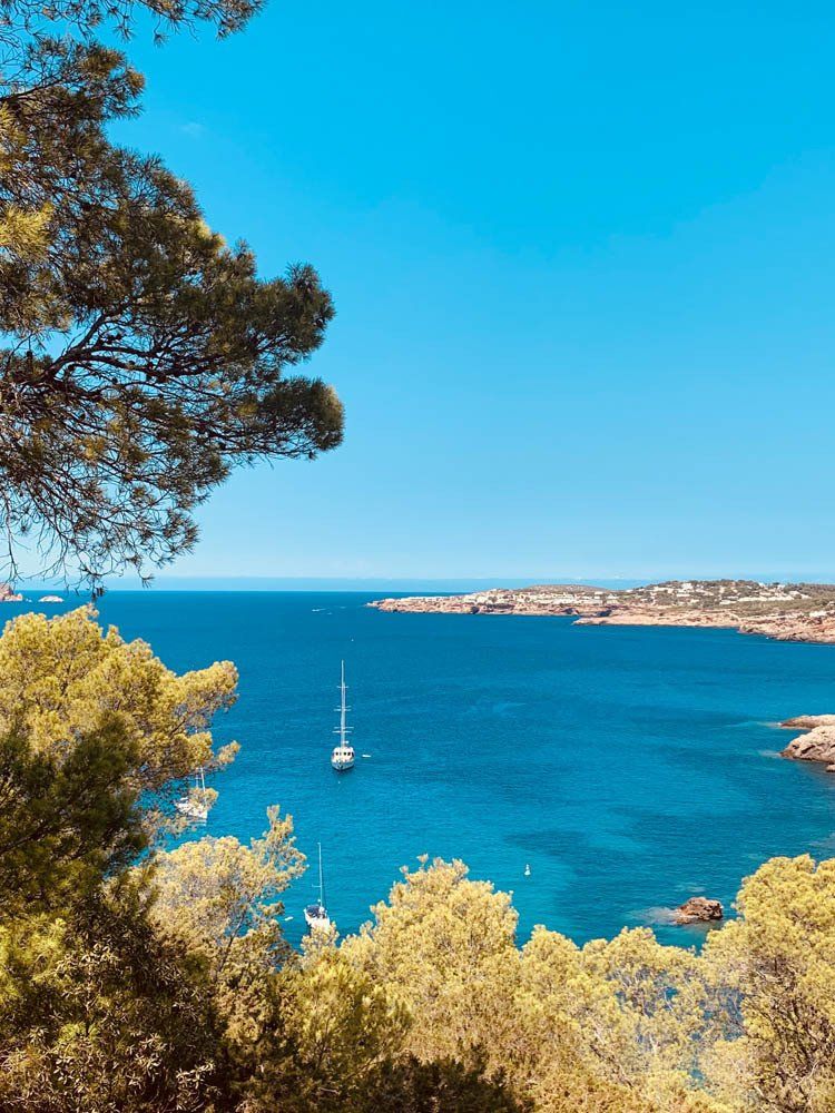 Een zicht op een watermassa omringd door bomen op een zonnige dag.