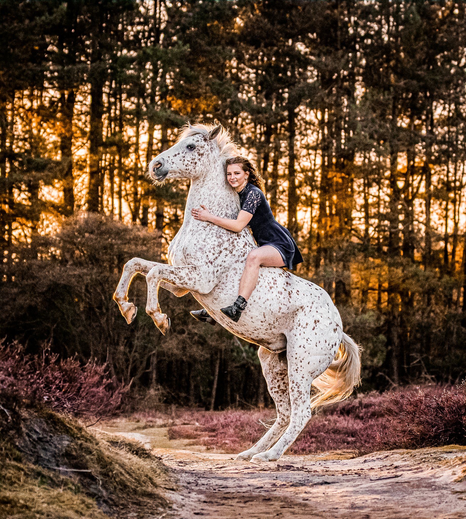 Een vrouw rijdt op de rug van een wit paard.