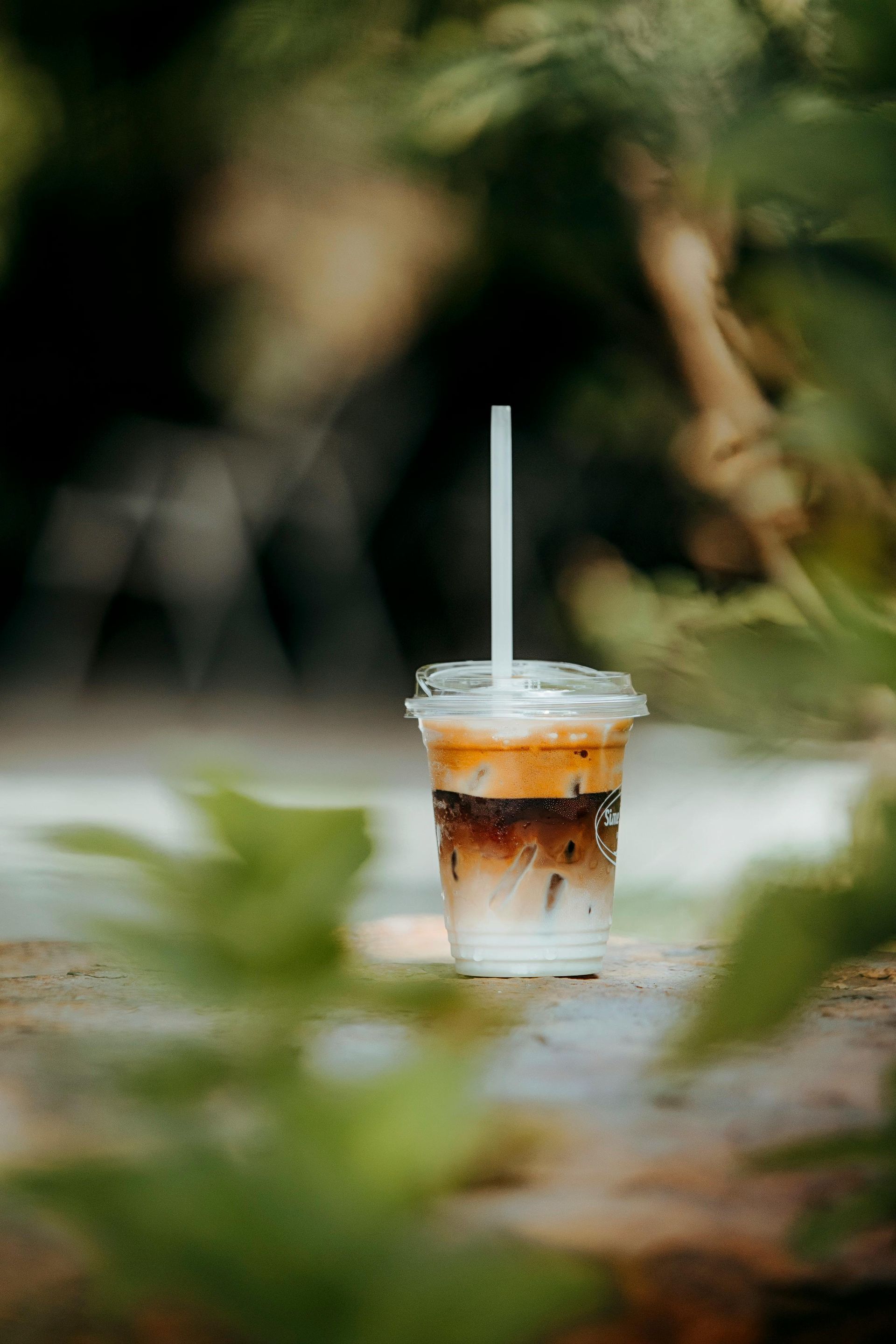 Horeca Content Creator