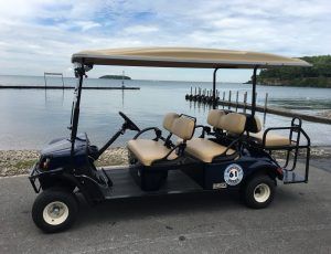 Golf Cart Rentals - Put-In-Bay, Ohio