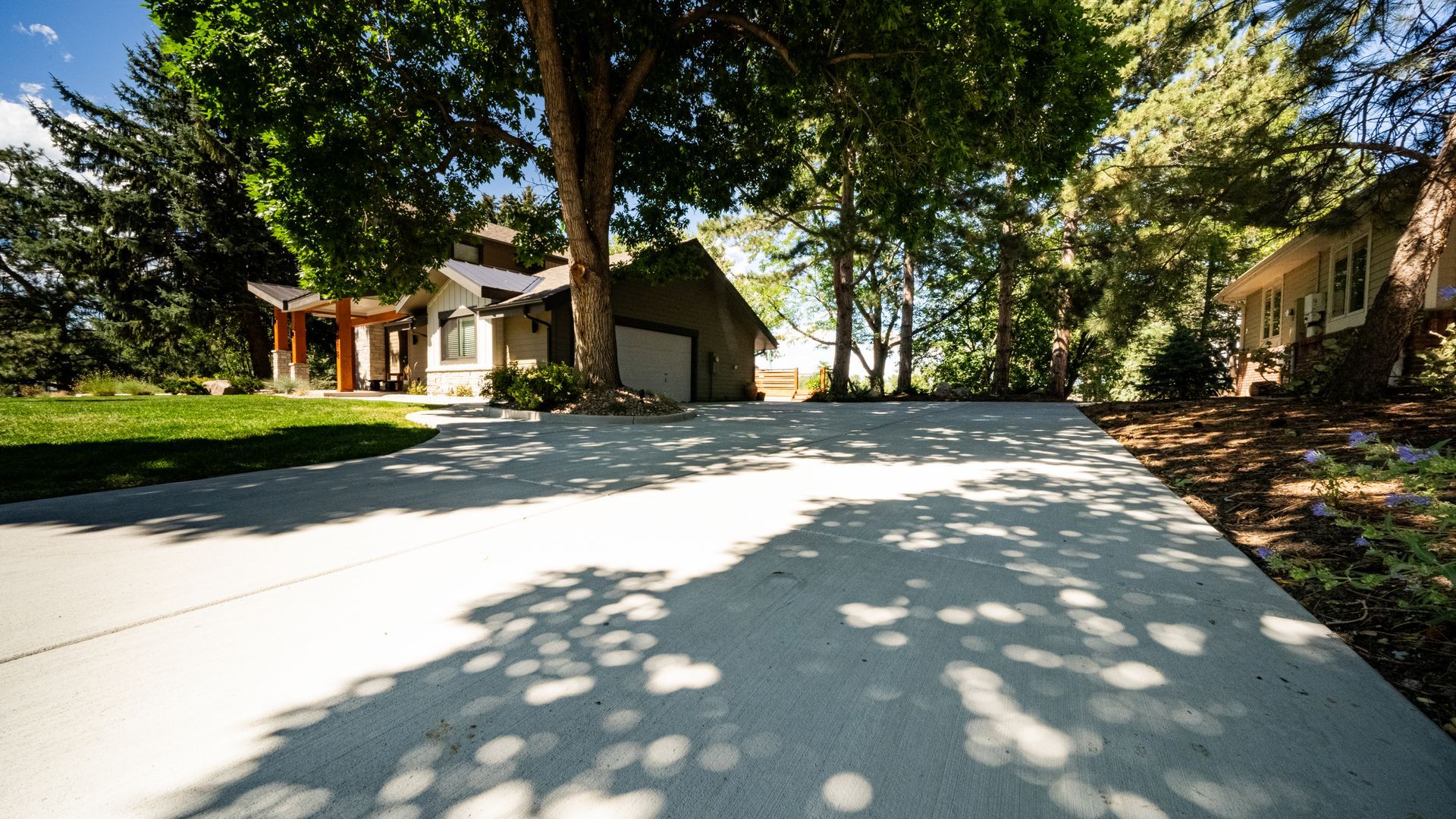 Tree-lined suburban driveway leading to houses, with bright sunlight and dappled shadows on the pavement.