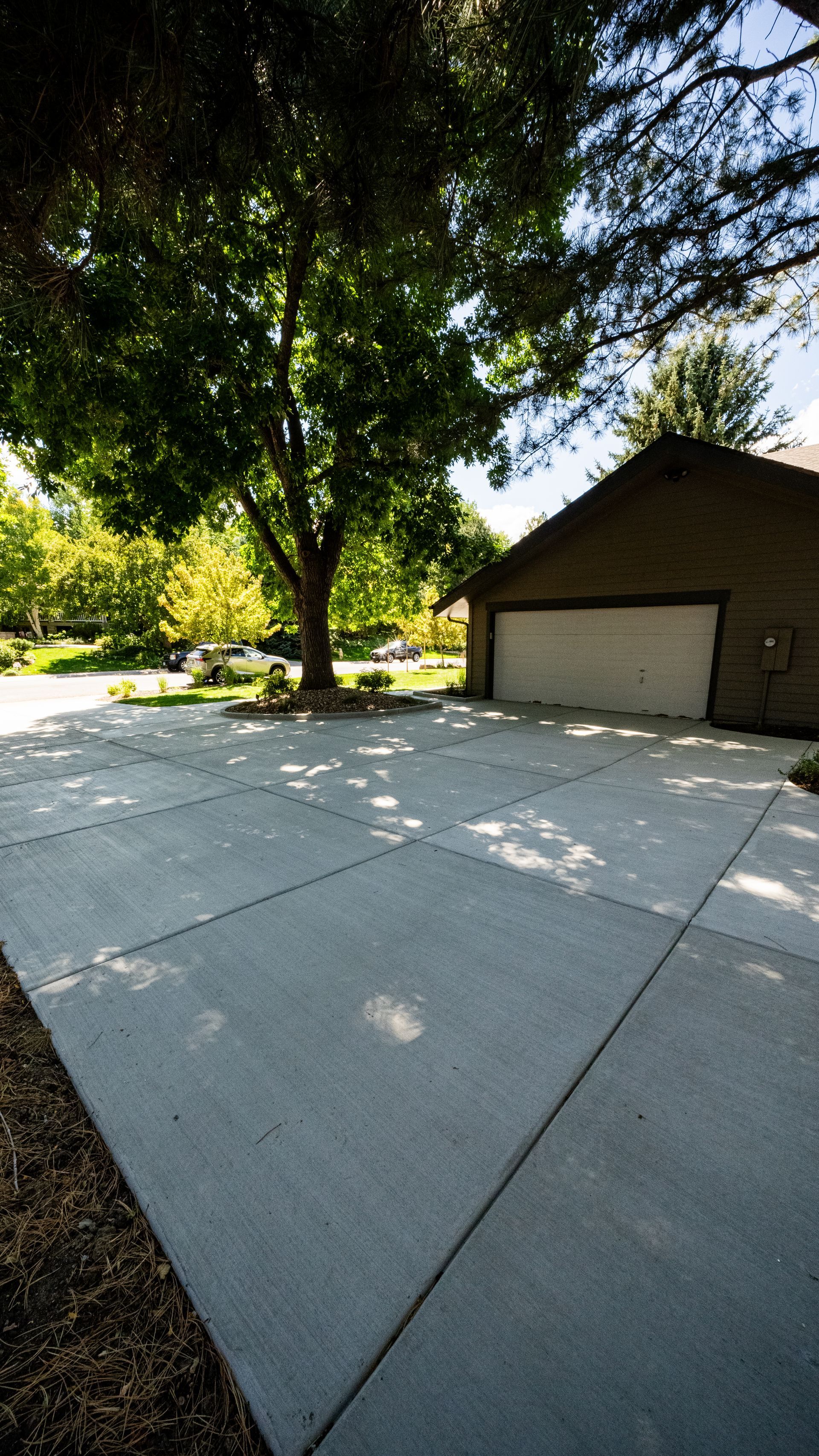 Driveway beside a beige garage and large tree casting shade in a sunny yard