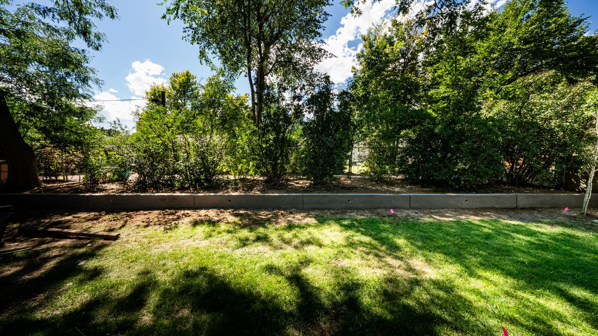 Sunlit park with green grass, tall trees, and a paved path along the edge