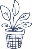 Blue line drawing of a potted plant with large, oval leaves. The pot is made of woven material.