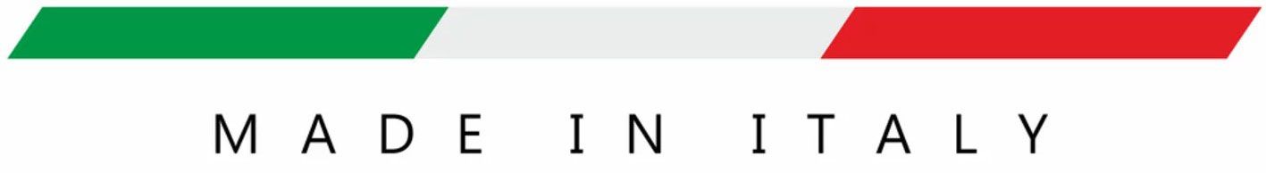 logo Made in Italy