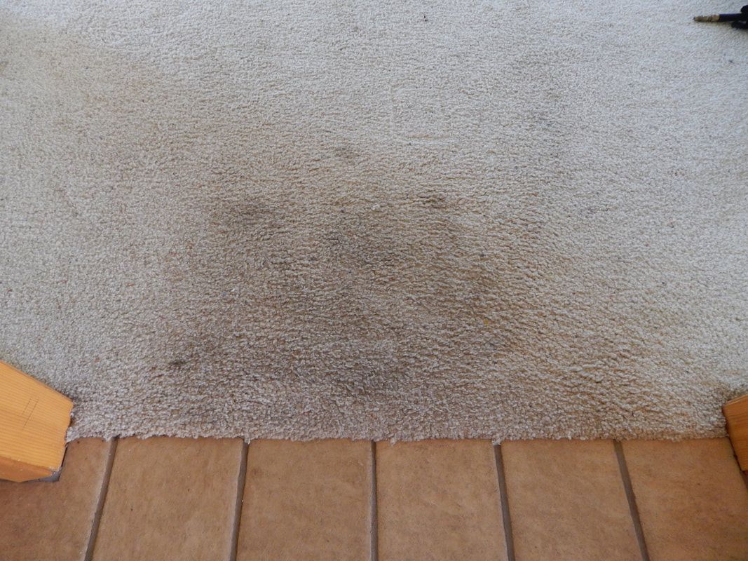 A dirty carpet is sitting on top of a wooden floor.